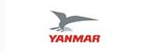 yanmar